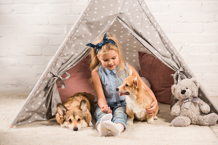 adorable child sitting with welsh corgi dogs in wigwam at homeの写真素材