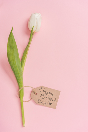 white tulip and wooden label with happy mothers day greeting text on pink backgroundの写真素材