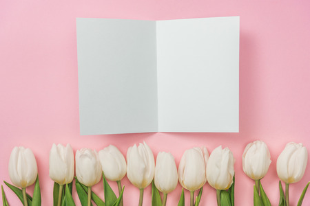 white blank greeting card and pink tulips on pink background