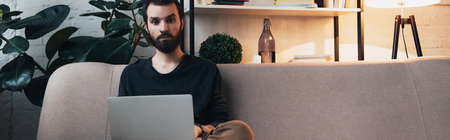 handsome bearded man sitting on couch, looking at camera and using laptop in living room
