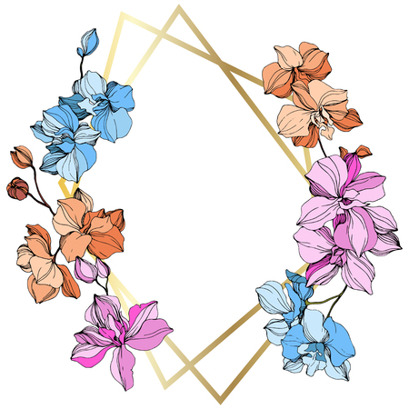 Vector Pink, orange and blue orchid. Floral botanical flower. Wild spring leaf wildflower isolated. Engraved ink art. Frame border ornament square.のイラスト素材