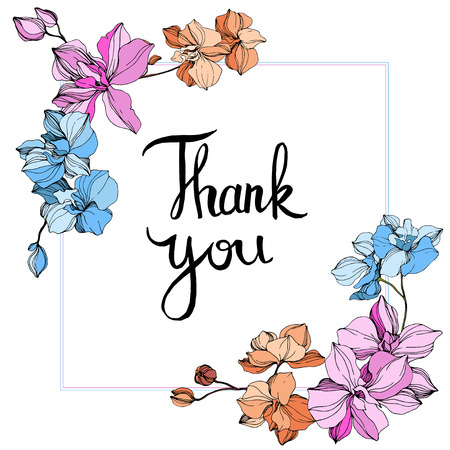 Vector Pink, orange and blue orchid. Floral botanical flower. Wild spring leaf wildflower isolated. Engraved ink art. Frame border ornament square. Thank you handwriting monogram calligraphy.のイラスト素材
