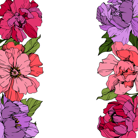Vector Pink and purple peony. Floral botanical flower. Wild spring leaf wildflower isolated. Engraved ink art. Frame border ornament square.のイラスト素材