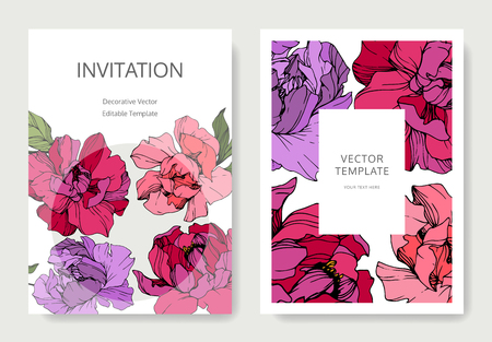 Vector Purple and pink peony. Floral botanical flower. Engraved ink art. Wedding background card floral decorative border. Thank you, rsvp, invitation elegant card illustration graphic set banner.のイラスト素材