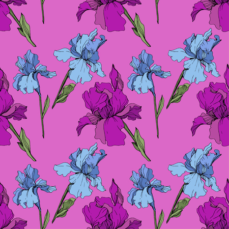 Vector Purple, yellow and blue iris. Floral botanical flower. Wild spring leaf wildflower isolated. Engraved ink art. Seamless background pattern. Fabric wallpaper print texture.のイラスト素材