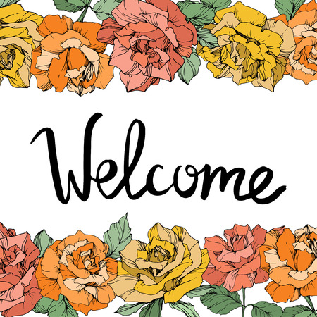 Vector Rose floral border on white background. Floral botanical flower. Yellow, orange and coral engraved ink art. Welcome handwriting monogram calligraphy.のイラスト素材