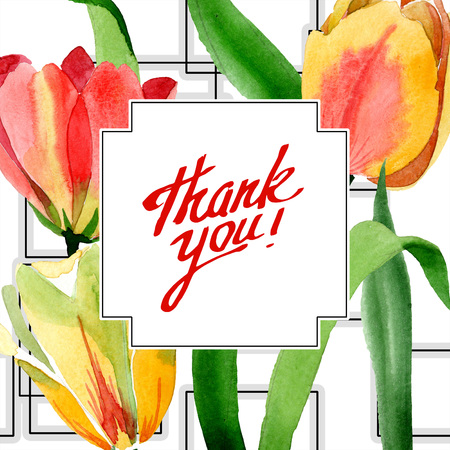 Yellow tulips. Floral botanical flower. Wild spring leaf wildflower isolated. Watercolor background illustration set. Watercolour aquarelle. Frame border ornament square. Thank you calligraphy.の写真素材