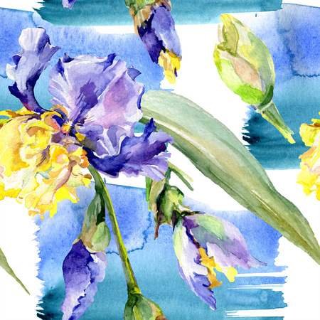 Purple yellow iris. Floral botanical flower. Wild spring leaf wildflower isolated. Watercolor background illustration set. Watercolour drawing fashion aquarelle isolated.の写真素材