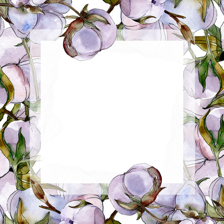 Cotton floral botanical flower. Wild spring leaf wildflower isolated. Watercolor background illustration set. Watercolour drawing fashion aquarelle isolated.の写真素材