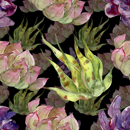 Jungle botanical succulen botanical flower. Wild spring leaf isolated. Watercolor illustration set. Watercolour drawing fashion aquarelle. Seamless background pattern. Fabric wallpaper print texture.の写真素材
