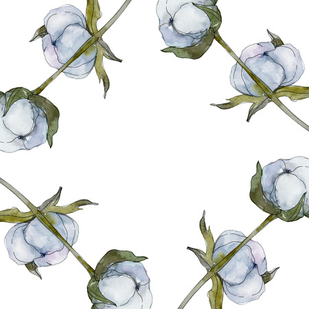 White cotton floral botanical flower. Wild spring leaf wildflower isolated. Watercolor background illustration set. Watercolour drawing fashion aquarelle isolated. Frame border ornament square.の写真素材