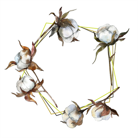Cotton floral botanical flower. Watercolor background illustration set. Watercolour drawing fashion aquarelle isolated. Frame border ornament square.の写真素材