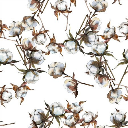 Cotton floral botanical flower. Watercolor background illustration set. Watercolour drawing fashion aquarelle isolated. Seamless background pattern. Fabric wallpaper print texture.の写真素材