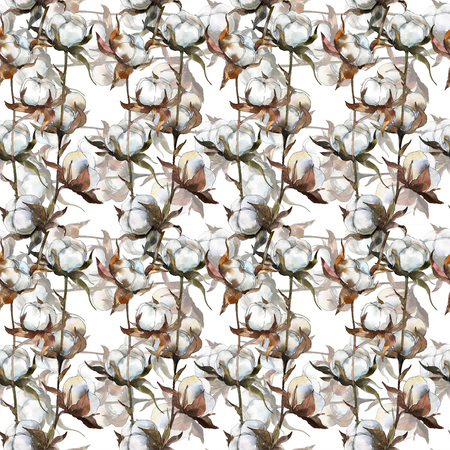 Cotton floral botanical flower. Watercolor background illustration set. Watercolour drawing fashion aquarelle isolated. Seamless background pattern. Fabric wallpaper print texture.の写真素材