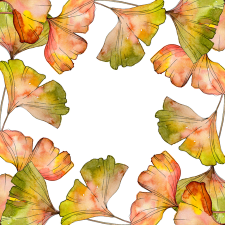 Green yellow ginkgo biloba leaf. Leaf plant botanical garden floral foliage. Watercolor background illustration set. Watercolour drawing fashion aquarelle isolated. Frame border ornament square.の写真素材