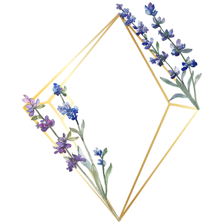 Purple lavender. Floral botanical flower. Wild spring leaf wildflower isolated. Watercolor background illustration set. Watercolour drawing fashion aquarelle isolated. Frame border ornament square.の写真素材