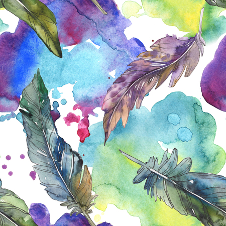 Bird feather from wing isolated. Watercolor background illustration set. Watercolour drawing fashion aquarelle isolated. Seamless background pattern. Fabric wallpaper print texture.の写真素材