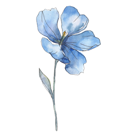 Blue purple flax. Floral botanical flower. Wild spring leaf wildflower isolated. Watercolor background illustration set. Watercolour drawing fashion aquarelle. Isolated flax illustration element.の写真素材