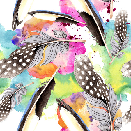 Bird feather from wing isolated. Watercolor background illustration set. Watercolour drawing fashion aquarelle isolated. Seamless background pattern. Fabric wallpaper print texture.の写真素材
