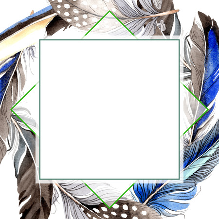Bird feather from wing isolated. Watercolor background illustration set. Watercolour drawing fashion aquarelle isolated. Frame border ornament square on white background.の写真素材