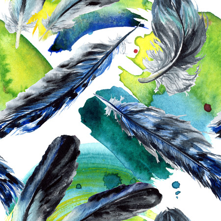 Blue black bird feather from wing isolated. Watercolor background illustration set. Watercolour drawing fashion aquarelle. Seamless background pattern. Fabric wallpaper print texture.の写真素材