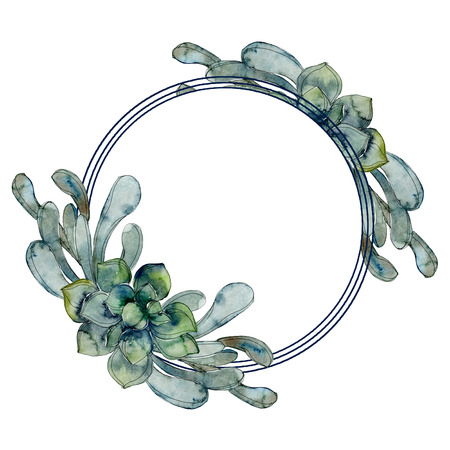 Exotic tropical hawaiian summer. Jungle botanical succulent. Watercolor background illustration set. Watercolour drawing fashion aquarelle isolated. Frame border ornament square.の写真素材