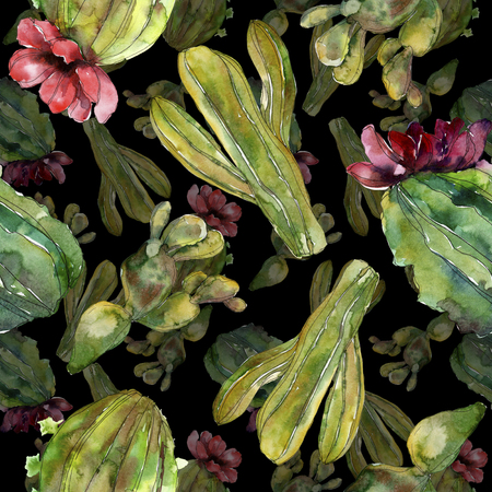 Green cactus floral botanical flower. Wild spring wildflower isolated. Watercolor illustration set. Watercolour drawing fashion aquarelle. Seamless background pattern. Fabric wallpaper print texture.の写真素材