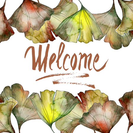Ginkgo biloba green leaf plant botanical garden floral foliage. Watercolor background illustration set. Watercolour drawing fashion aquarelle isolated. Frame border ornament square.の写真素材