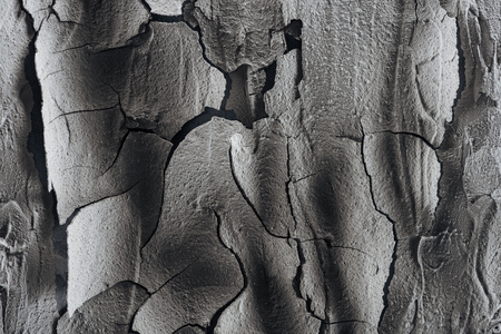 cracked barren land surface, global warming conceptの写真素材