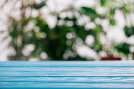 selective focus of blue wooden desk with flora on backgroundの写真素材