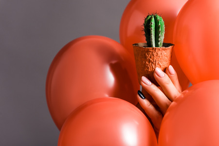 cropped view of female hand with cactus in flower pot and coral air balloons on grey background, color of 2019 conceptの写真素材