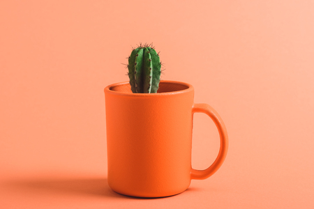 green cactus in coral coffee cup on coral background, color of 2019 conceptの写真素材