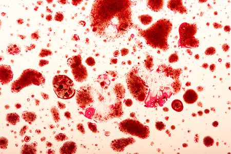 Studio shot of blood spots on light surfaceの写真素材