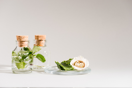 Studio shot of glass bottles with mint and flower on greyの写真素材