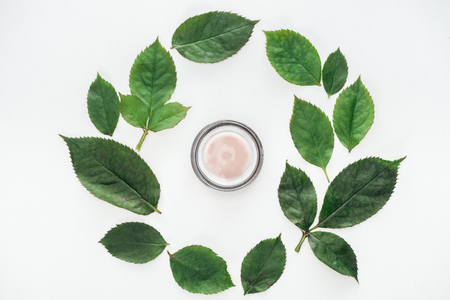 top view of circular composition with green leaves and beauty cream isolated on whiteの写真素材