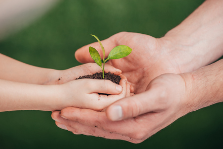 cropped view of man holding child hands with young plant on blurred background, earth day conceptの写真素材