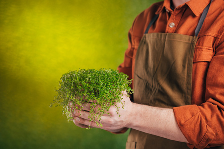 cropped view of man holding green plant on blurred background, earth day conceptの写真素材
