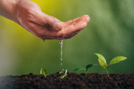 partial view of man watering young green plant on blurred background, earth day conceptの写真素材