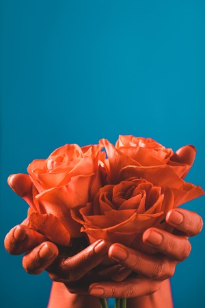 cropped view of woman holding coral roses in coral colored hands on blue background, color of 2019 conceptの写真素材