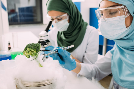 female muslim scientists experimenting with dry ice and broccoli in chemical laboratoryの写真素材