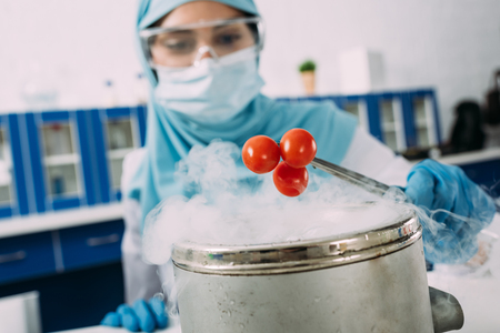 female muslim scientist holding tomatoes with tweezers over pot with dry ice during experiment in labの写真素材