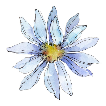 Daisy floral botanical flower. Wild spring leaf wildflower isolated. Watercolor background illustration set. Watercolour drawing fashion aquarelle. Isolated daisy illustration element.の写真素材
