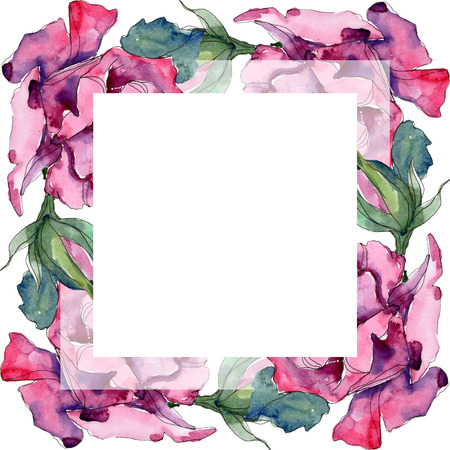 Purple rose floral botanical flower. Wild spring leaf wildflower isolated. Watercolor background illustration set. Watercolour drawing fashion aquarelle. Frame border ornament square.の写真素材
