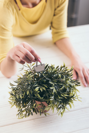 cropped view of woman holding toy paper bag near green plantの写真素材