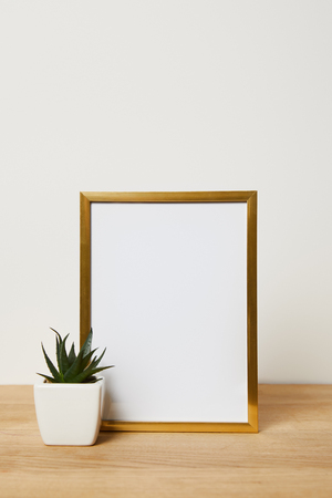 decorative frame near green cactus in pot at homeの写真素材
