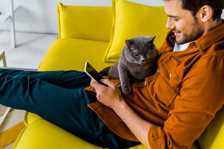 handsome smiling man using smartphone while sitting on sofa with catの写真素材