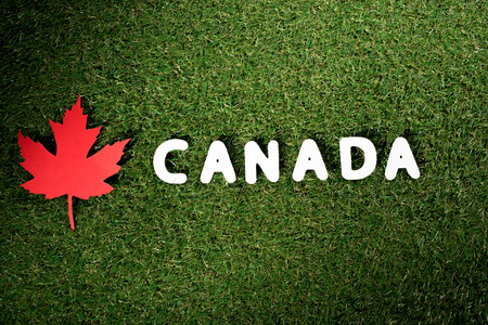 word 'Canada' with maple leaf on green grass backgroundの写真素材