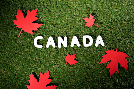 top view of word 'Canada' with maple leaves on green grass backgroundの写真素材