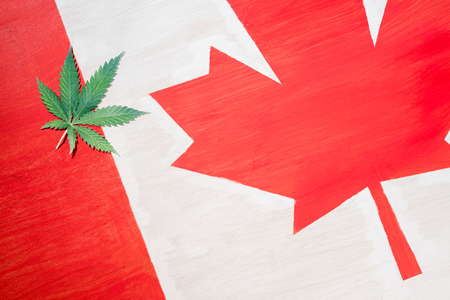 cannabis leaf on canadian flag with copy space, marijuana legalization conceptの写真素材