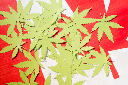 paper cannabis leaves on canadian flag, marijuana legalization conceptの写真素材